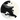 Abstract