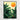 c4667969-c945-466a-929a-bc255712dada