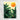 d0e1be68-2b1a-44e3-adcc-720789e25507